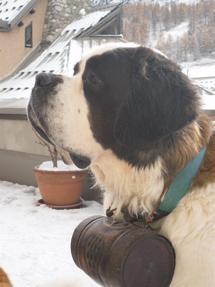 Chalet Saint Bernard Montgenèvre Екстериор снимка
